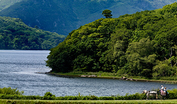 drinking tour of ireland